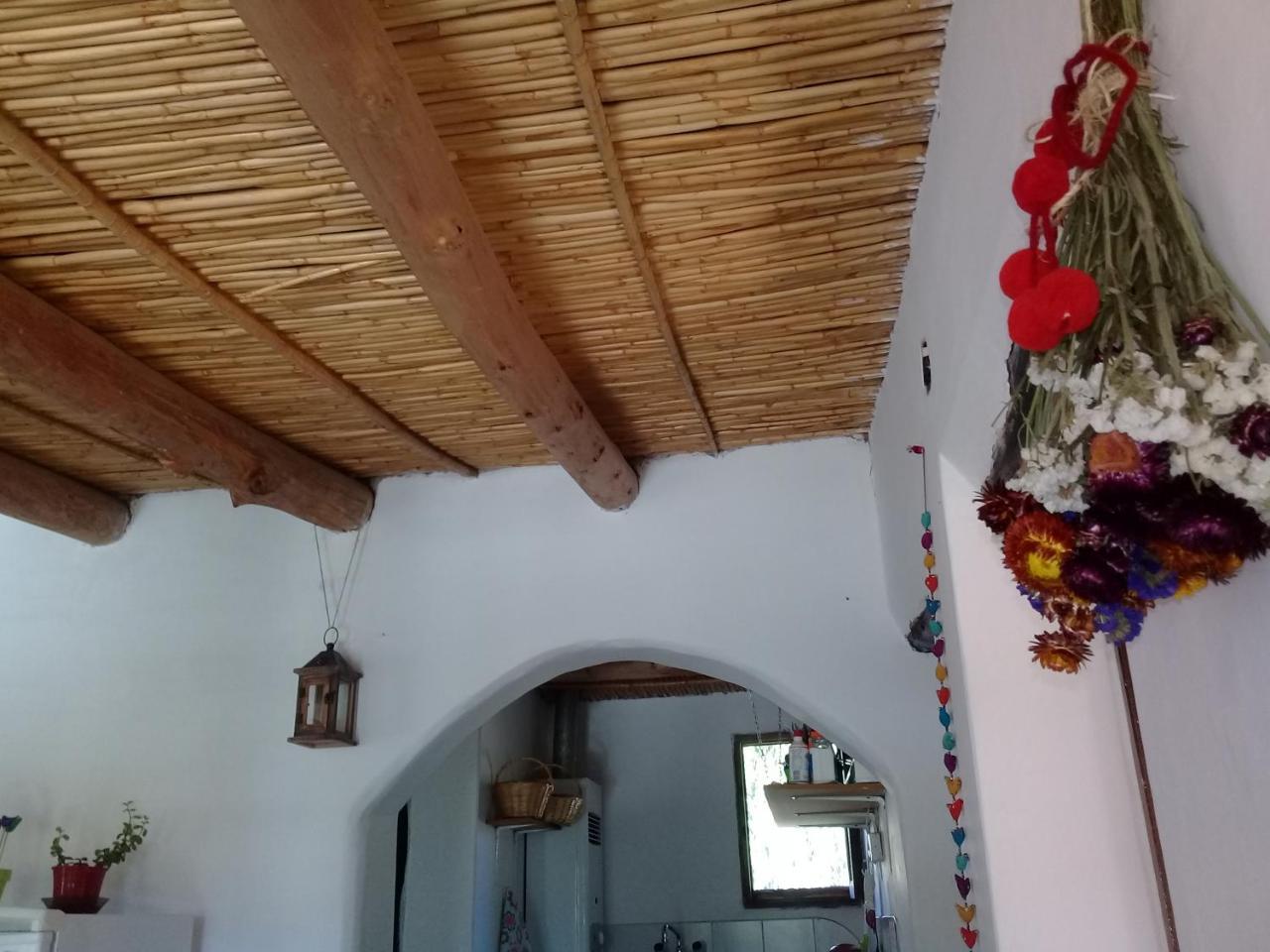 Cabana El Cardon,Casita En El Campo Quebradeno Humahuaca Extérieur photo