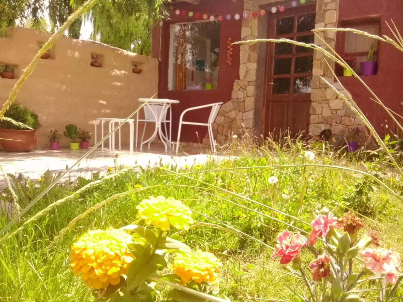 Cabana El Cardon,Casita En El Campo Quebradeno Humahuaca Extérieur photo