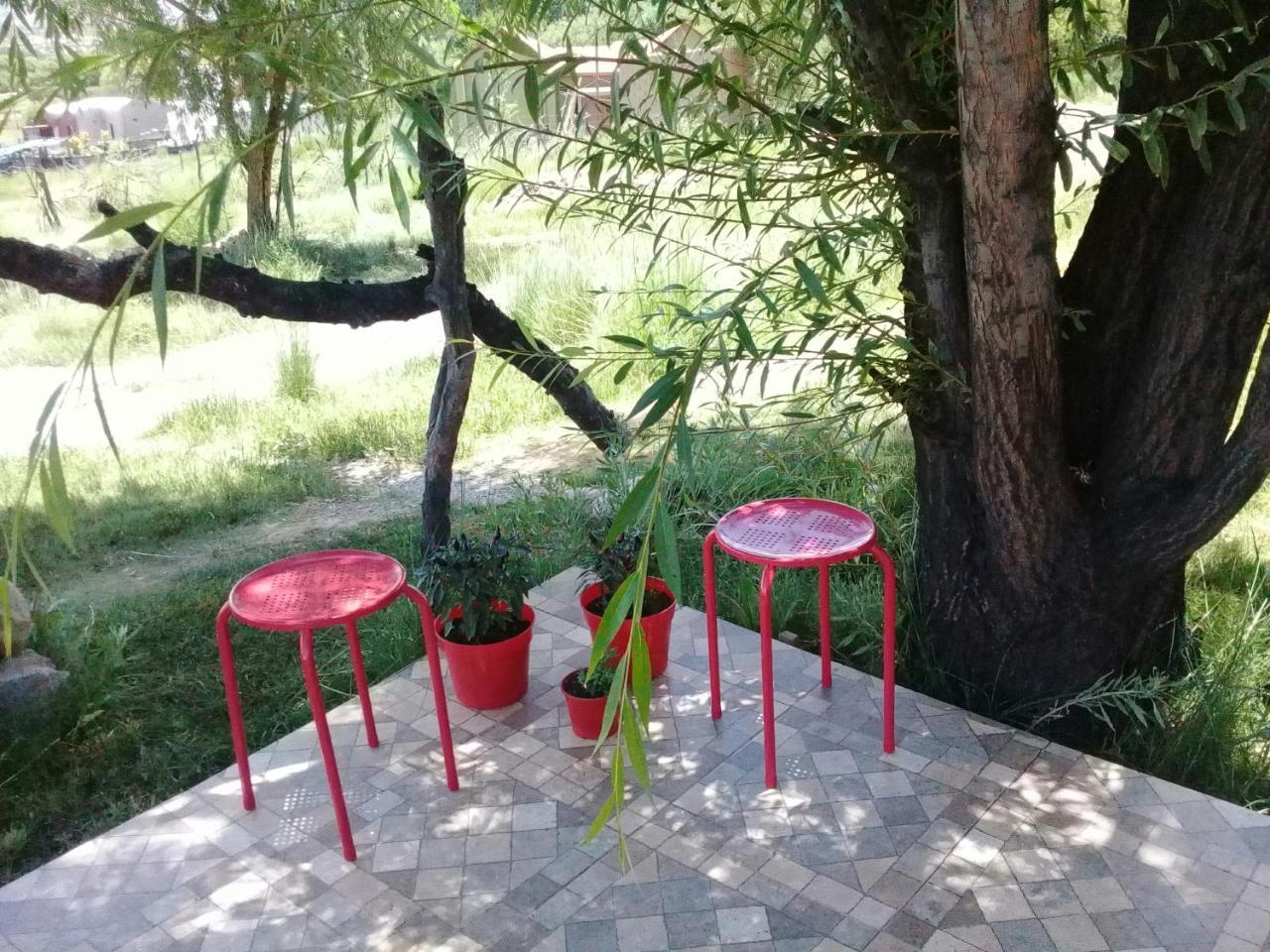 Cabana El Cardon,Casita En El Campo Quebradeno Humahuaca Extérieur photo